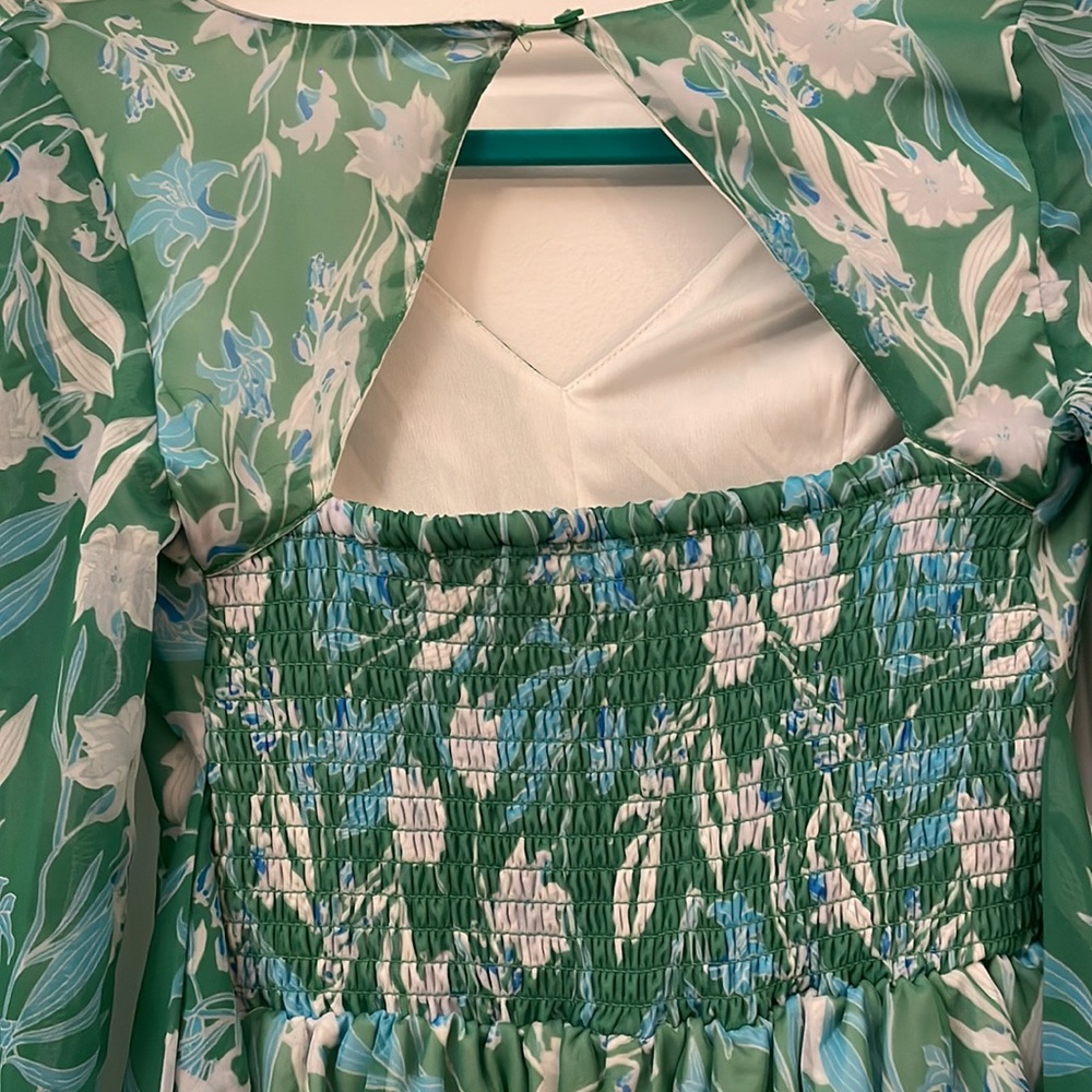 Jessica Simpson Spring Dress - Picture 3 of 5